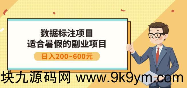 副业赚钱：人工智能数据标注项目 简单易上手 小白也能日入200+