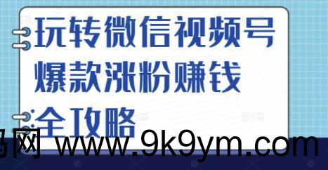 玩转微信视频号爆款涨粉赚钱全攻略 让你快速抓住流量风口 收获红利财富